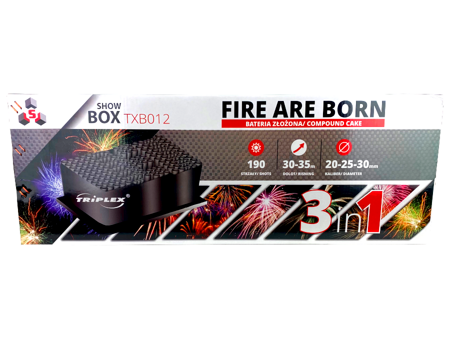 POKAZ FAJERWERKÓW FIRE ARE BORN - 190S - TXB012 - Triplex